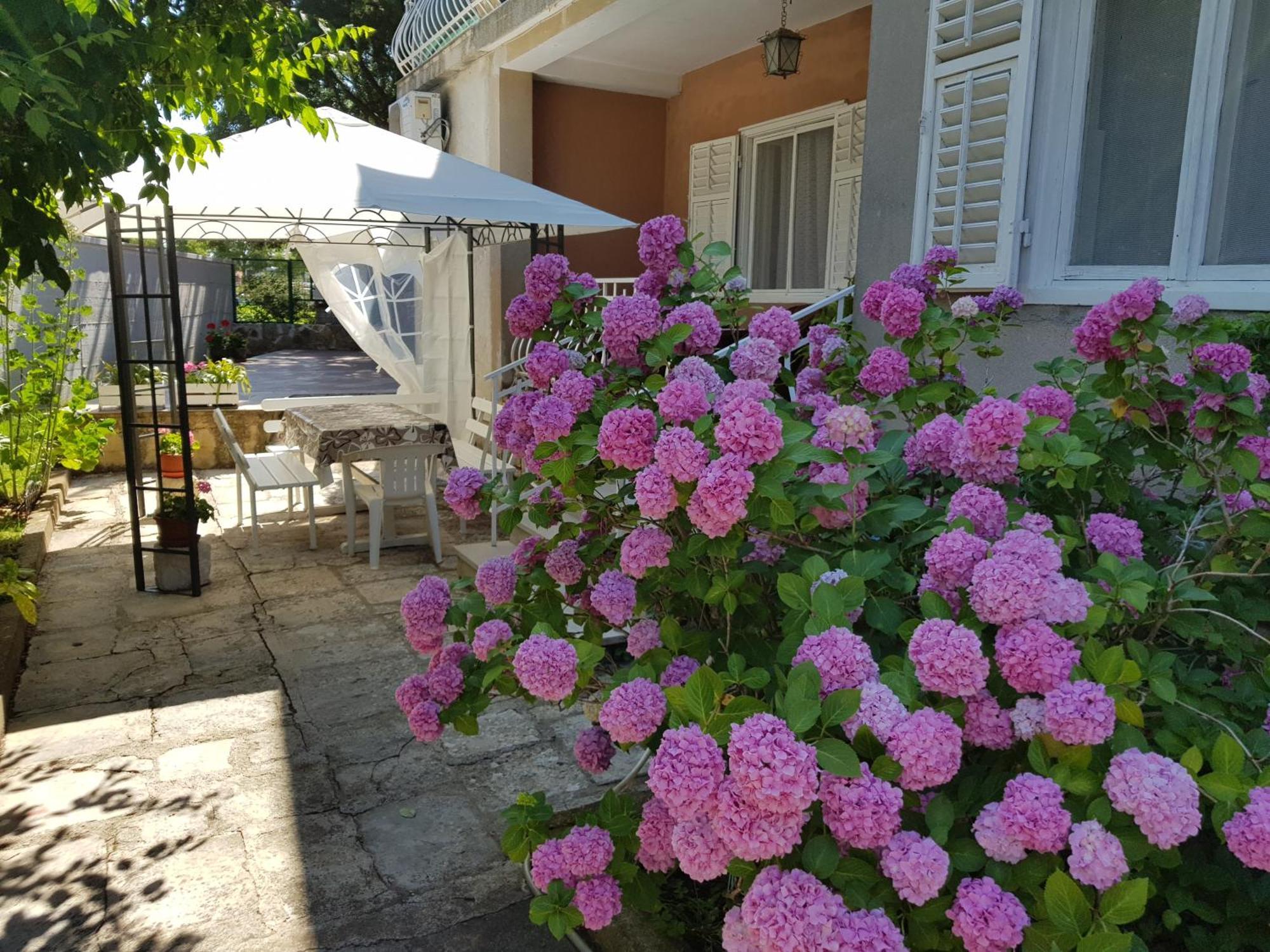 Renata Mare Apartments Rovinj Exterior photo